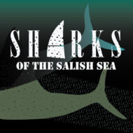 Sharks of the Salish Sea Play Kingston